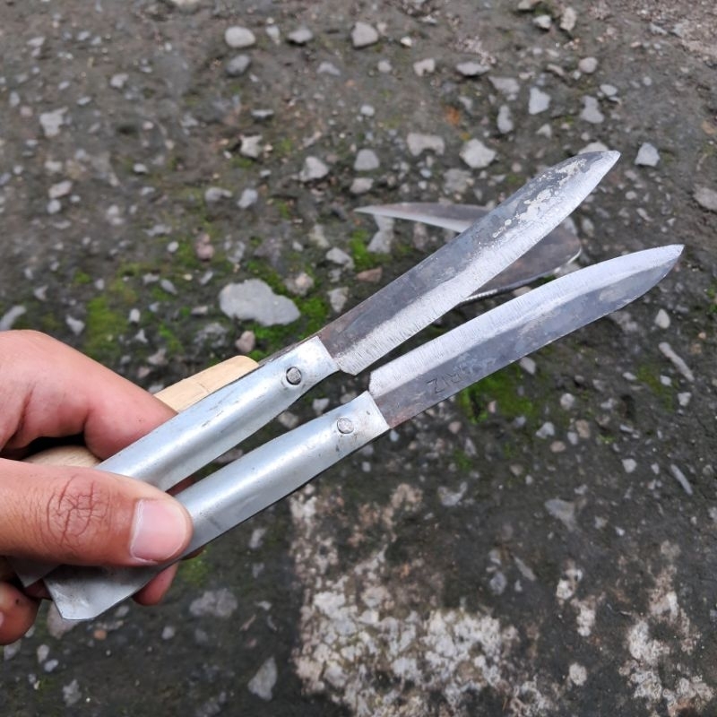 peralatan berkebun pisau rumput bahan baja per cap kandar gratis pisau dapur kecil 1