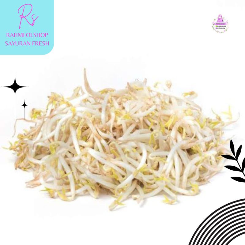 

Big Sale Sayur Toge Fresh 250grm - KIRIM INSTANT