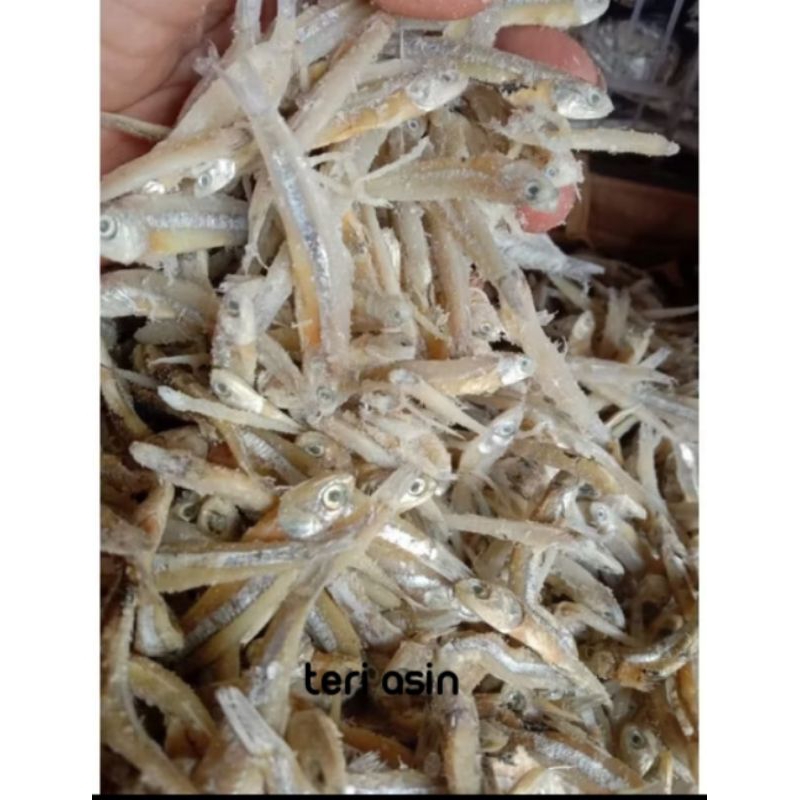 

teri asin berat 500g