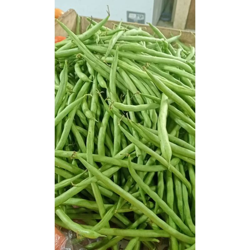 

sayur mayur bunci 500gr 1kg