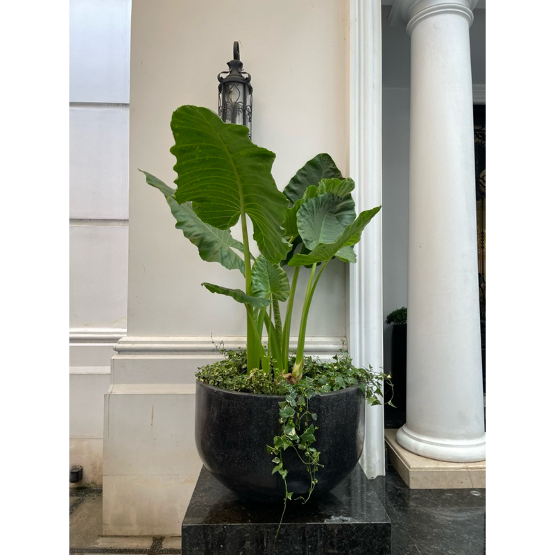 pot blong terrazo D 80cm