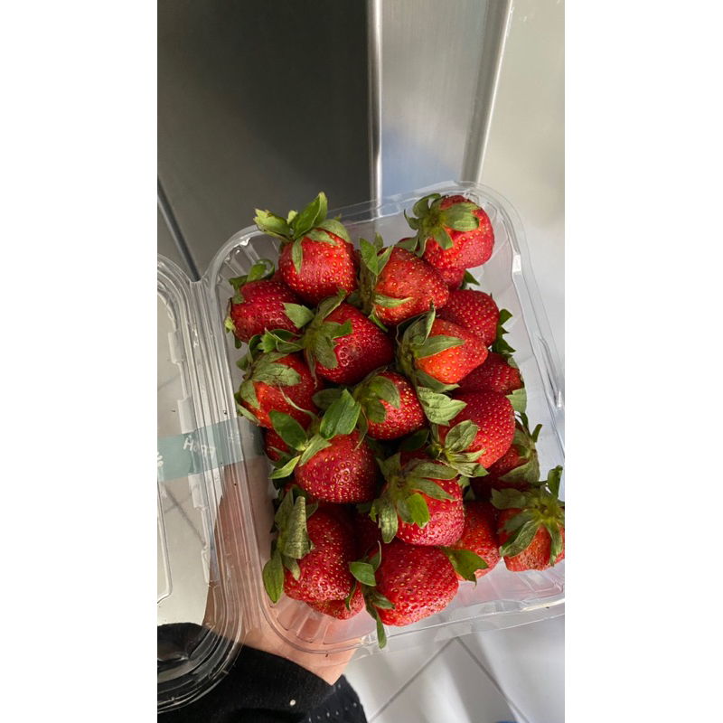 

Strawberry Segar Organik, Non pesticide/tanpa pestisida- 500gr (1pack) - Pre Order