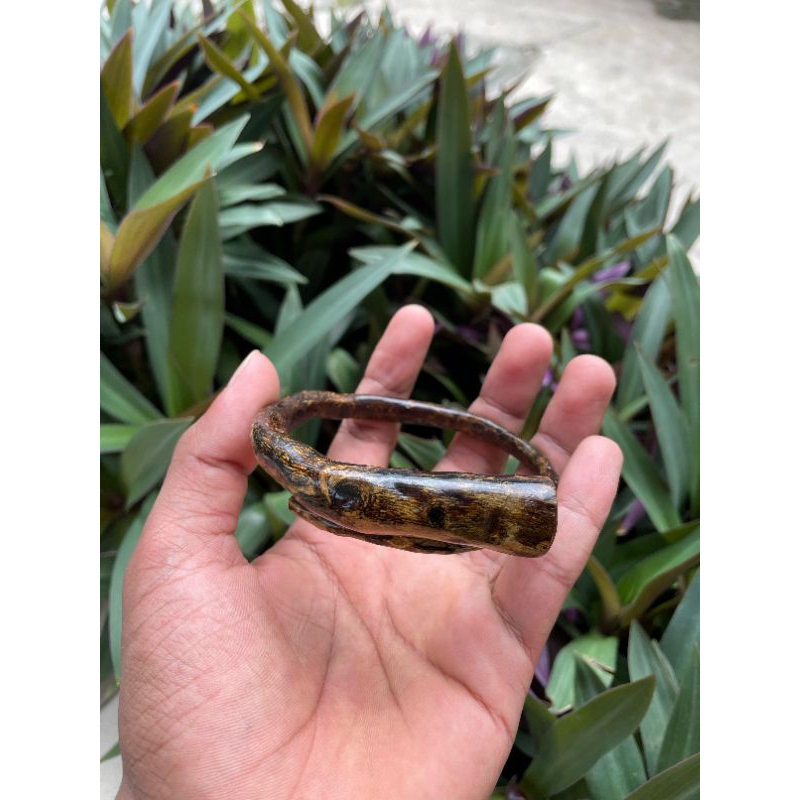 Gelang Akar Bahar Brahma Asli 100%