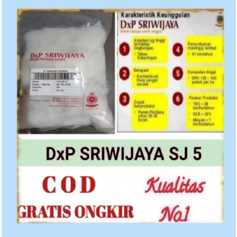 BENIH POLONG KECAMBAH SAWIT SRIWIJAYA ORIGINAL ISI 150