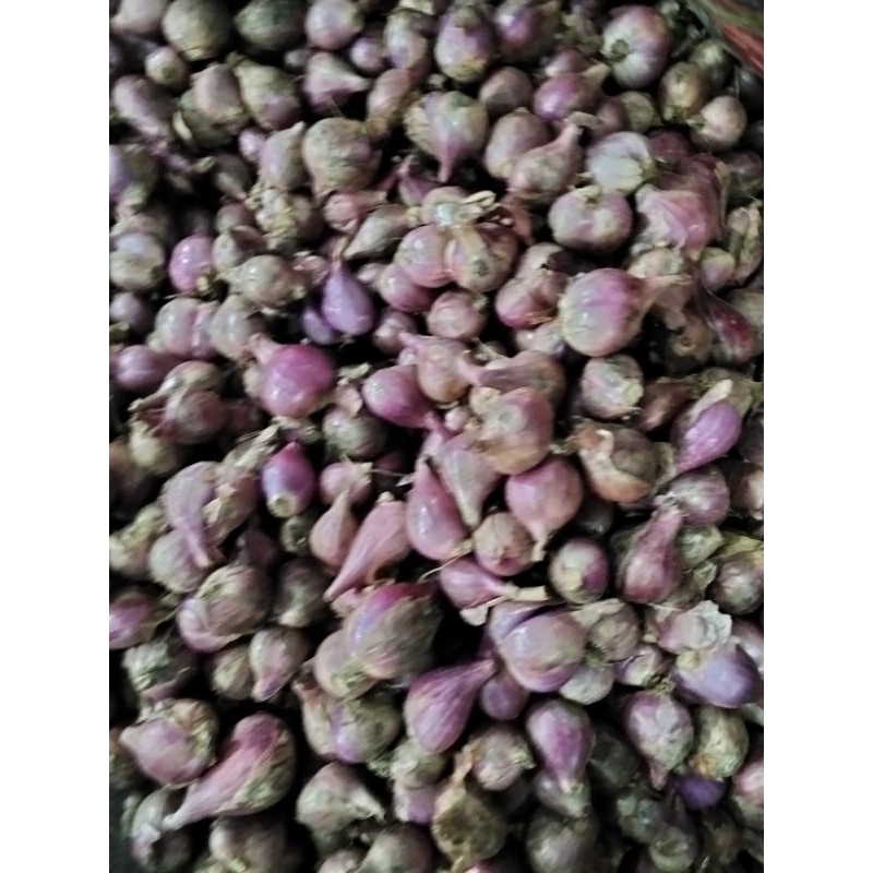 

Bawang Merah Brebes Pilihan 1 KG