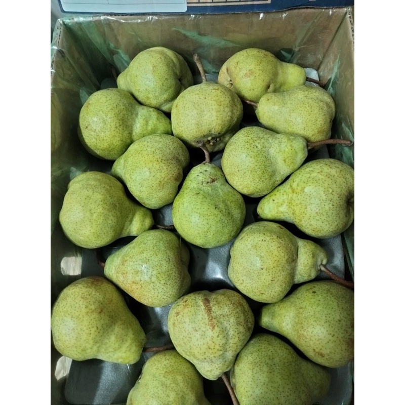 

Pir packam / pear packam