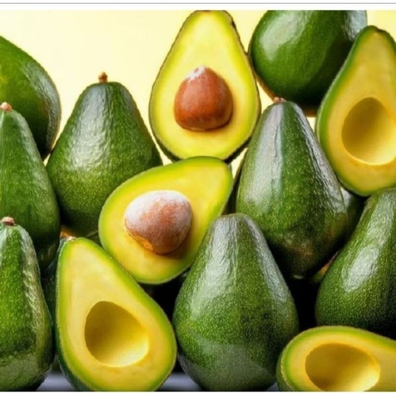 

Buah Alpukat Mentega/Alpukat kota batu