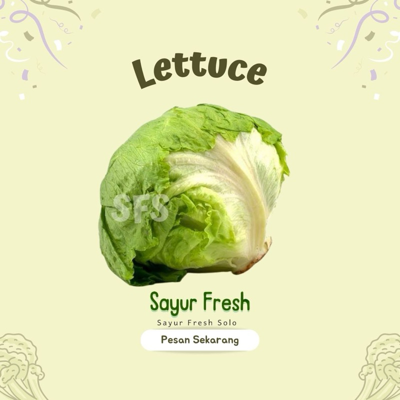 

Selada Lettuce / Letus (Ready Pagi jam 7 s/d 9) - Sayur Fresh Solo