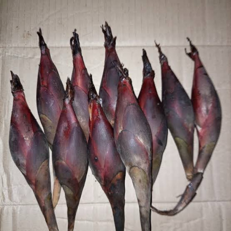 

Buah galoba buah pining bawang segar 1 kg-az