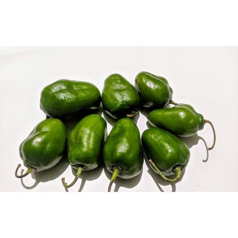 

Cabe Gendot Segar 100gr | Sayur Freshmart Bandung
