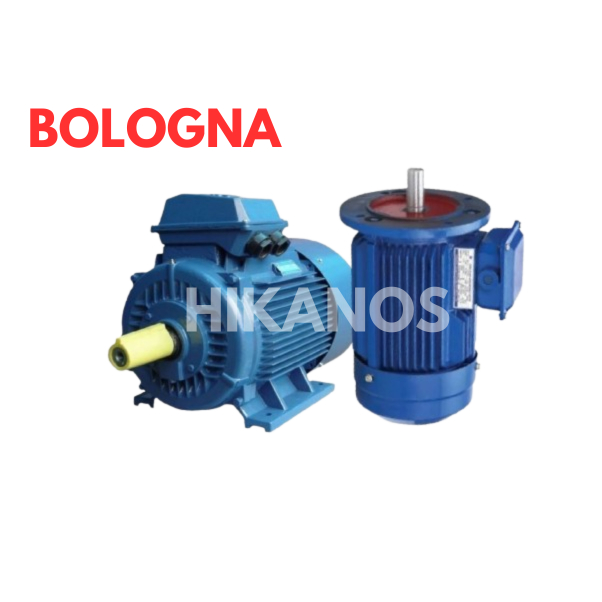 Elektro Motor Bologna 2800 RPM 3 Phase Foot Mounted B3 Dinamo