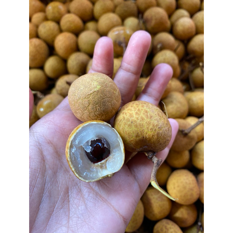

[Kota Malang]Lengkeng Emas 1/2kg