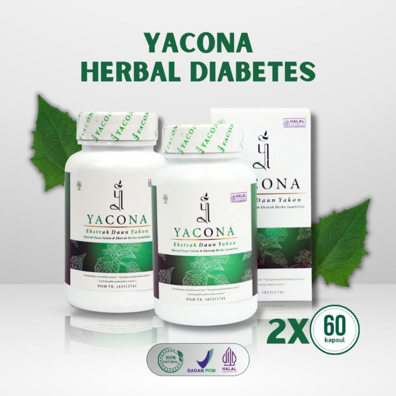 YACONA OBAT HERBAL DIABETES ASLI100%ORIGINAL