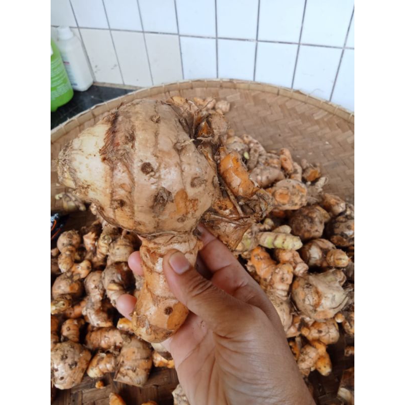 

temulawak kuning herbal alami 1000 gram