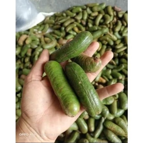 

500 gr kabau kulit asli kabau kancing premium