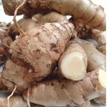 

Empu kunyit. kunyit putih asli. 1000 gram . empunya saja