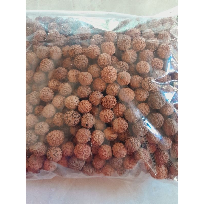 Jenitri 1kiloan belum berlobang ukuran dim 13mm up