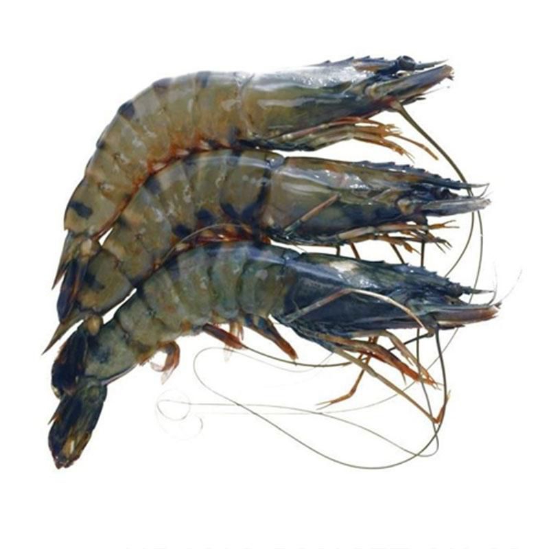

seafood - udang size 40 250g by pasar Tasik online