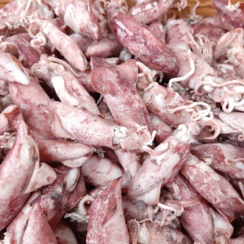 

IO -ikan asin cumi kecil per 100g by pasar Tasik online