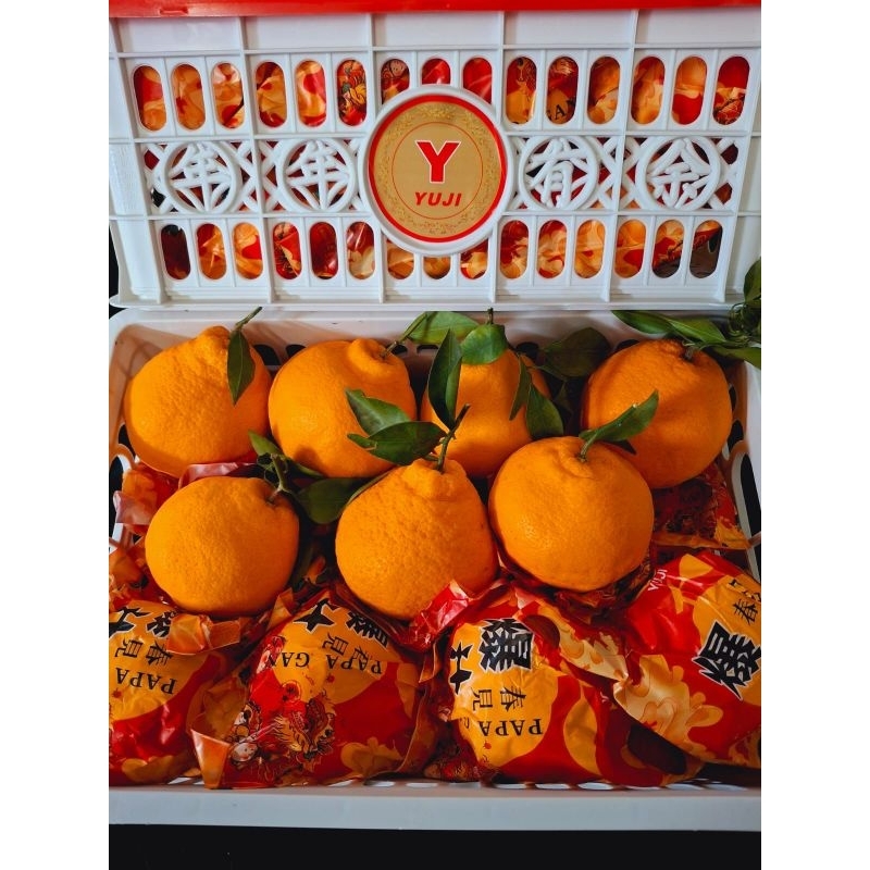 

Jeruk Dekopon Papagan 1Kg