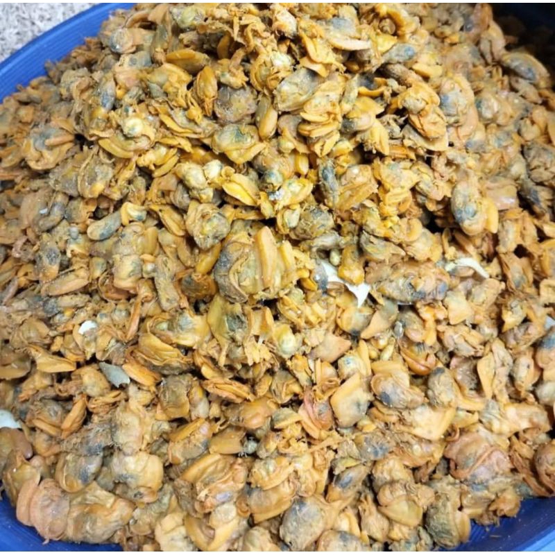 

Kerang asin Kepah 250gr