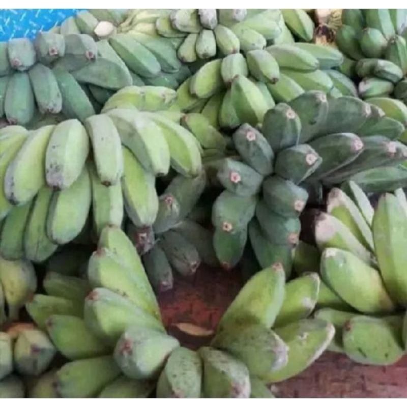 

pisang kepok mentah fresh 1 kg murah terlaris di ambil dadakan