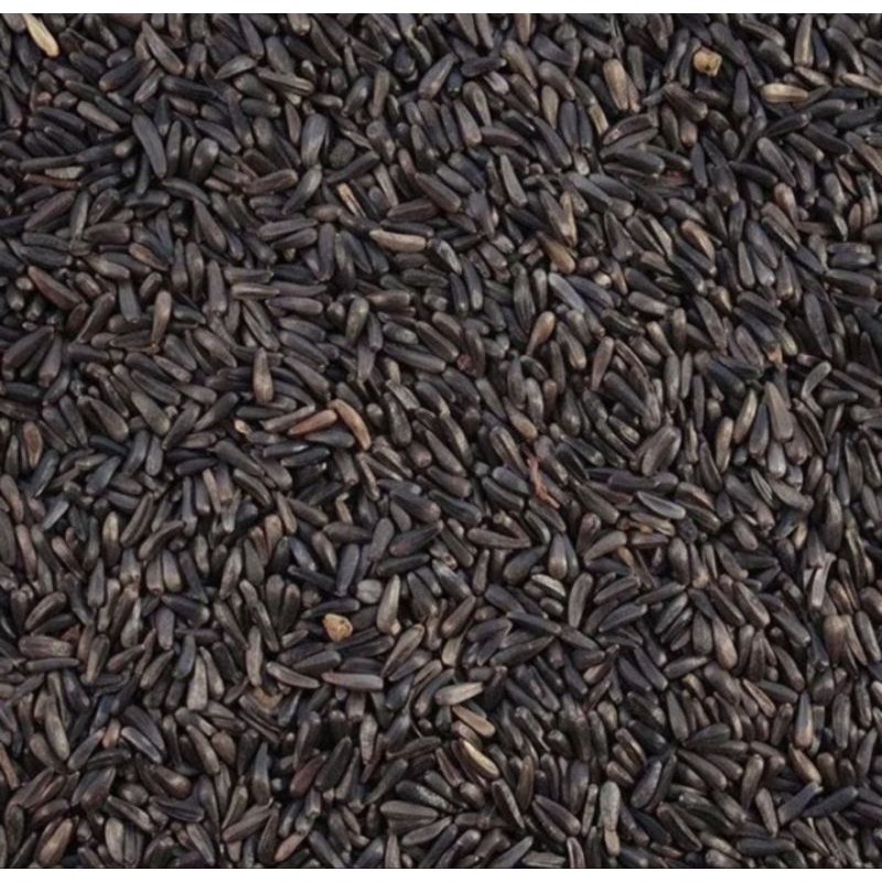 BIJI NIGER SEED 1KG PAKAN BURUNG BERKICAU SISKIN BLACKTHROAT KENARI DLL