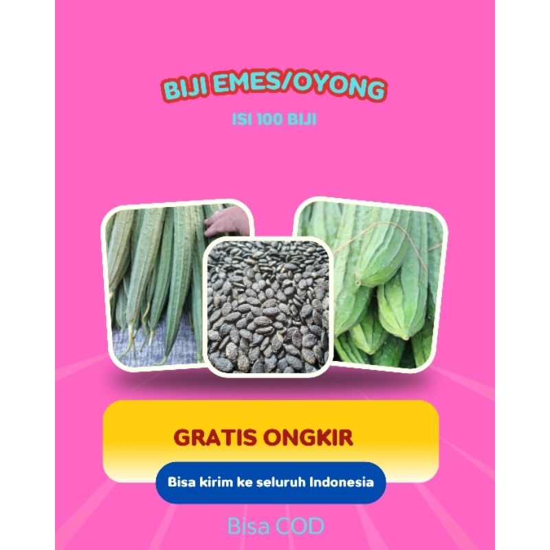 

biji benih emes/oyong isi (100 biji)