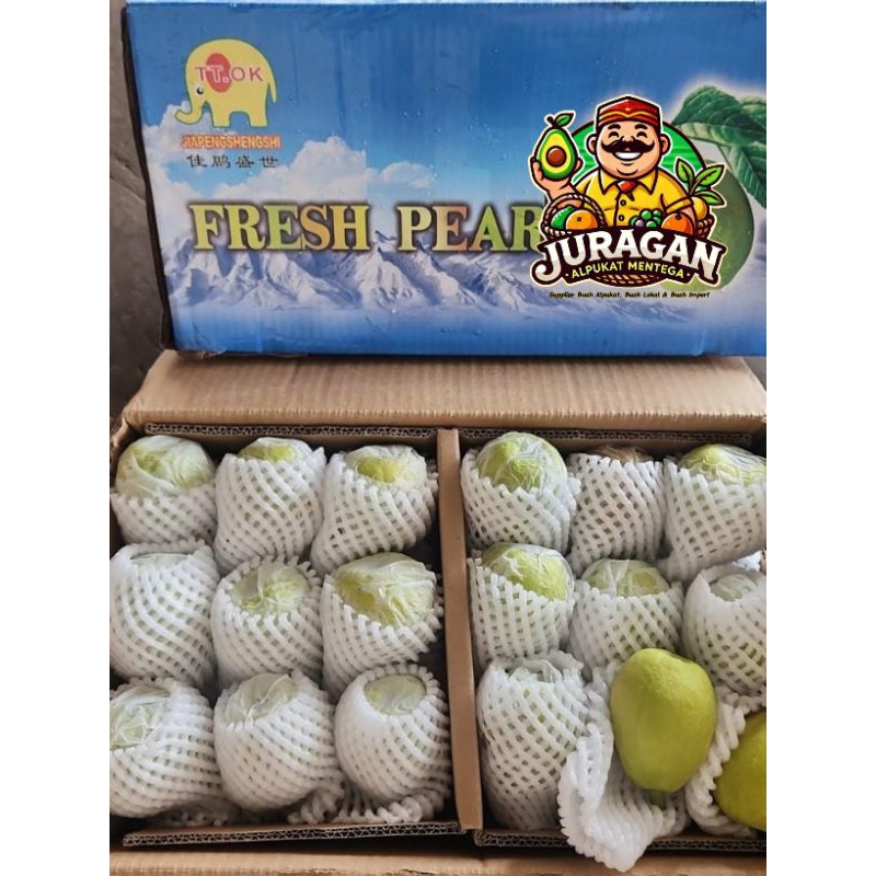 

Pear Xianglie / Buah Pear Xianglie