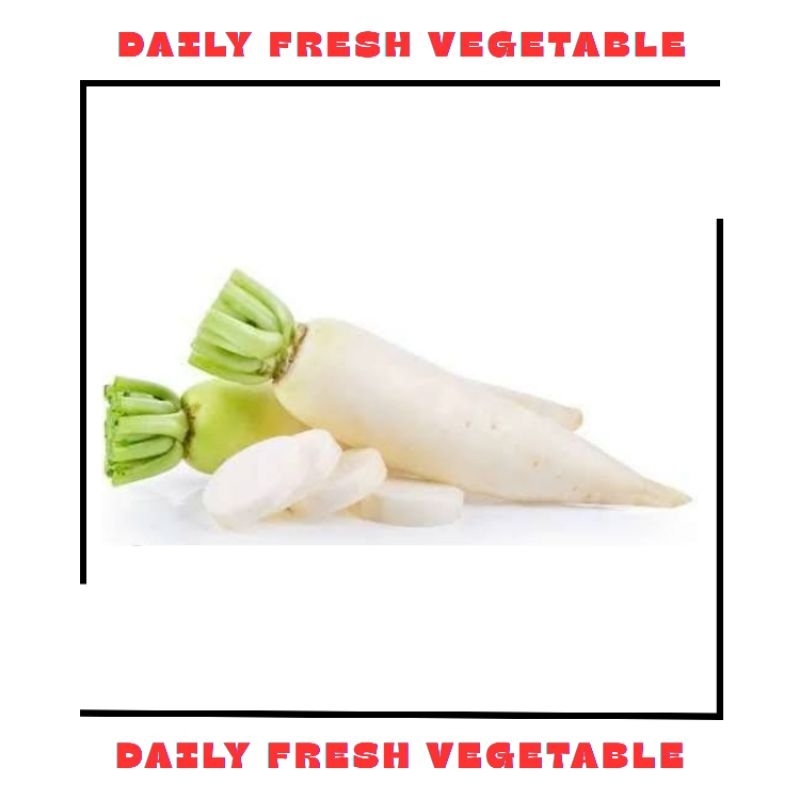

Lobak Putih Fresh 500gr
