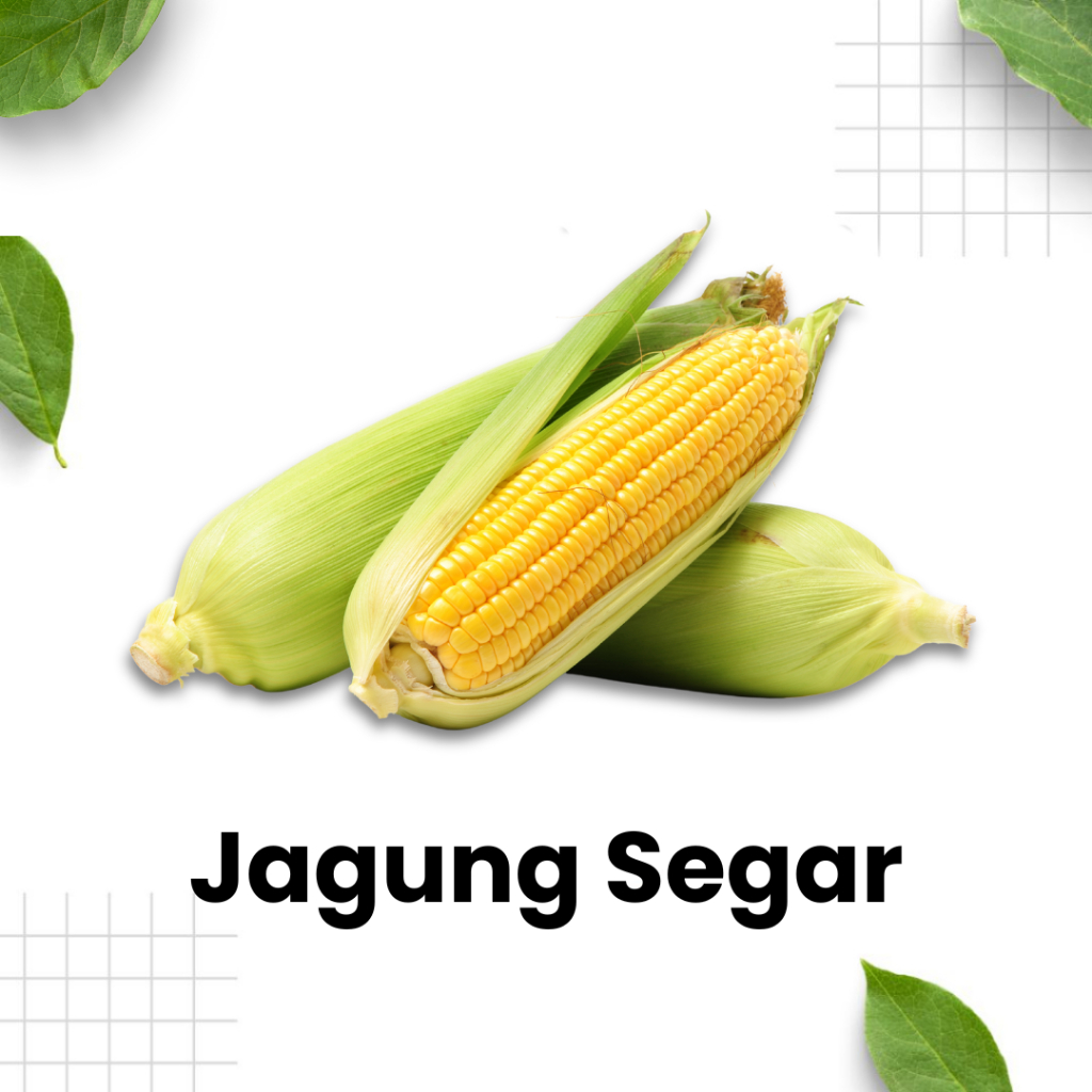 

Jagung Segar 1 Biji / jagung / sayur segar / sayuran / Sidoarjo Surabaya
