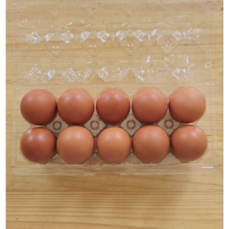 

10 Butir (650gr) Telur Ayam Negeri Berkualitas