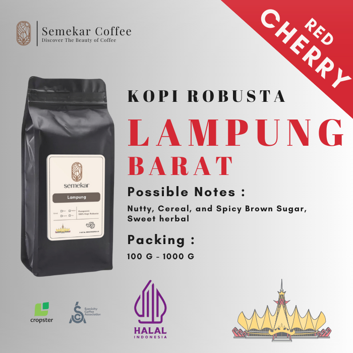 

Semekar Coffee - Kopi Robusta Lampung Grade 1 Roasted Beans - 500G & 1000G