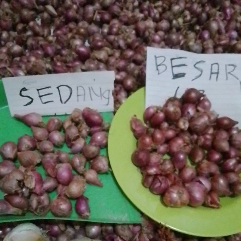 

bamer 250 gram sedang