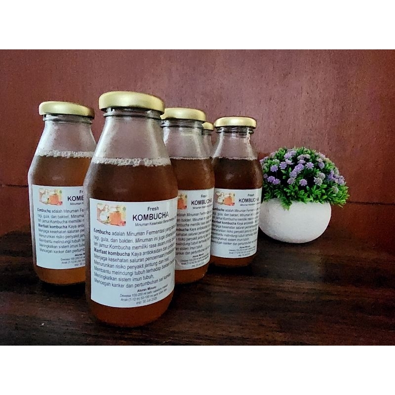 

Kombucha Fresh Minuman Kesehatan Berfermentasi