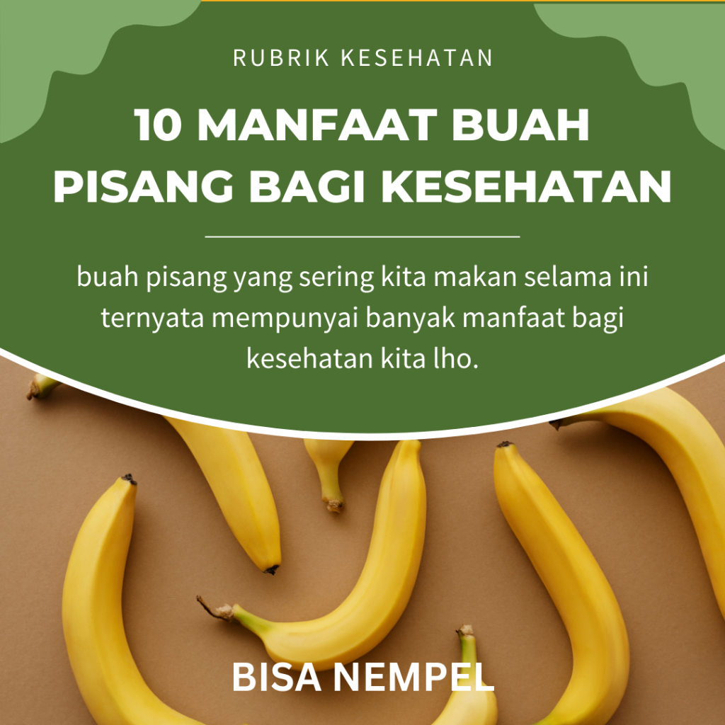 

BIBIT BUAH PISANG RAJA
