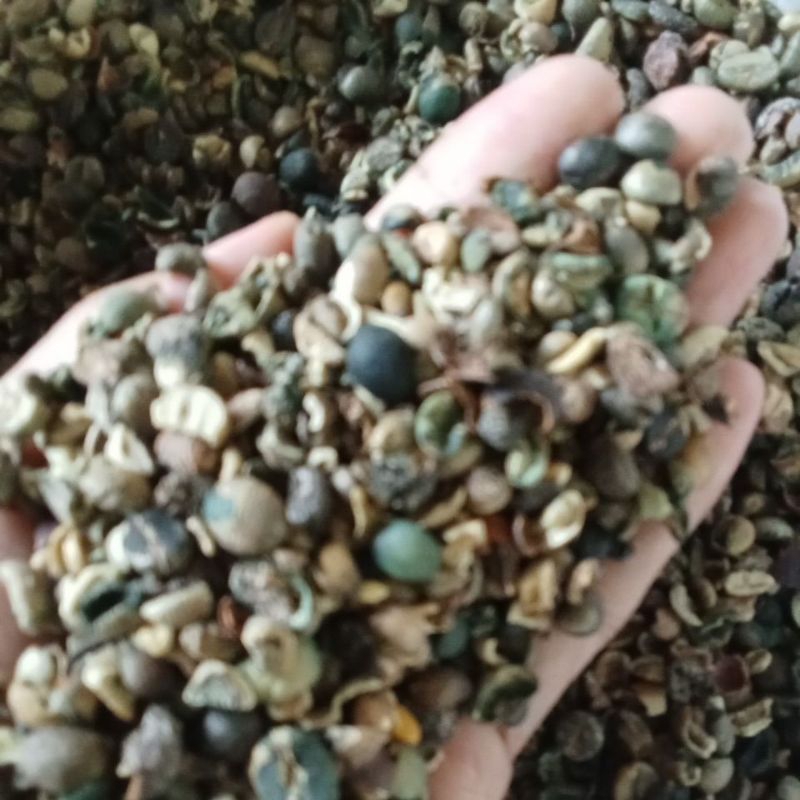 

1kg Termurah!! Kopi Rijek Mix (Biji kopi pecah+biji hitam(muda)+kulit)