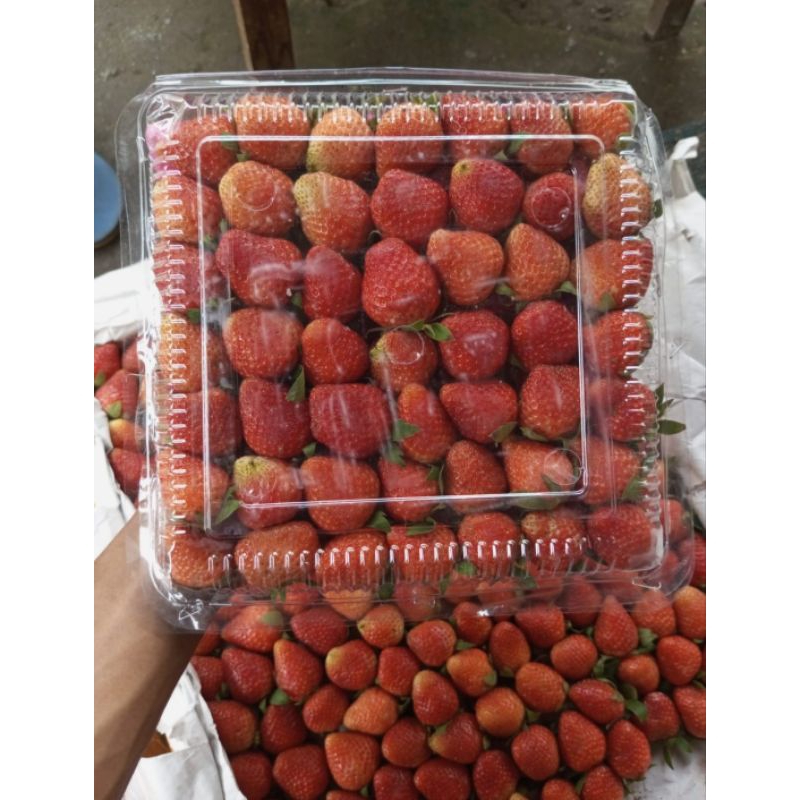 

Strawberry Bandung 1kg