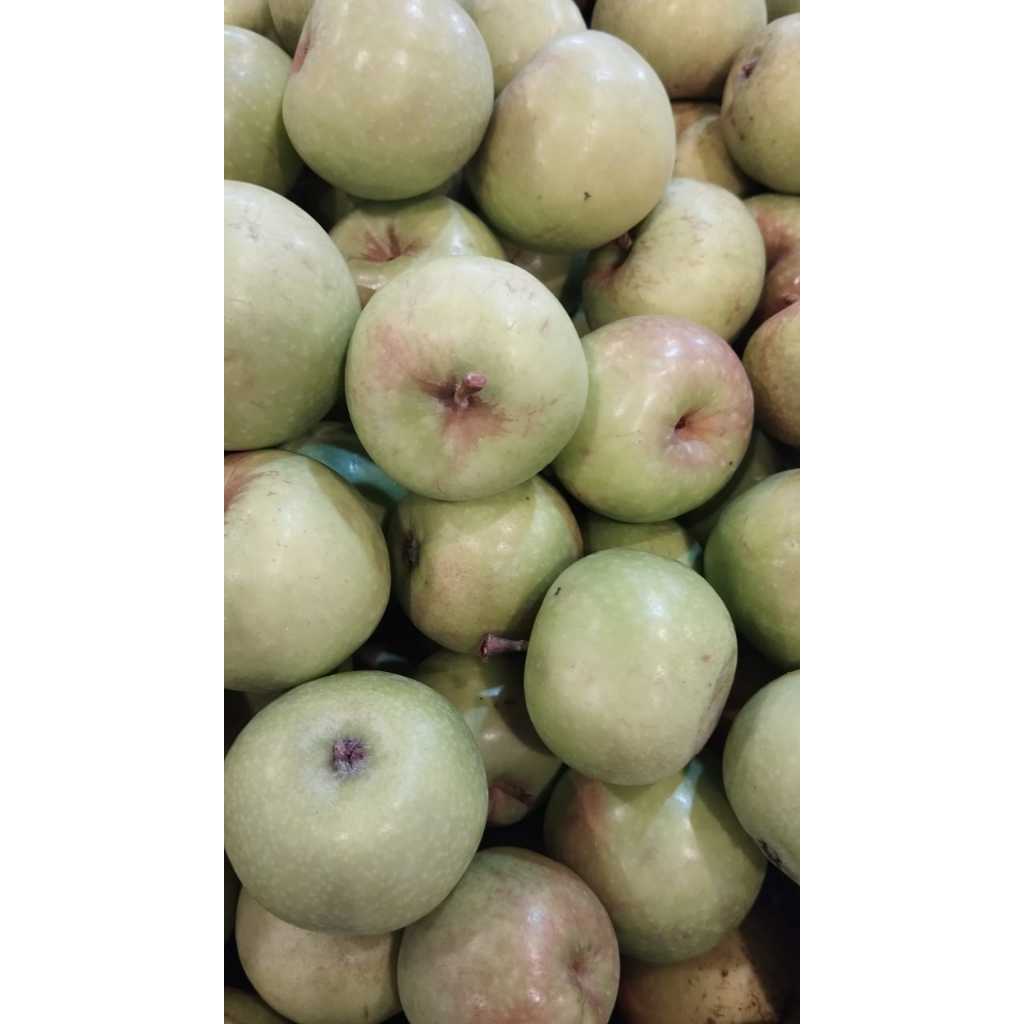 

APEL MANALAGI BOM 500 gram