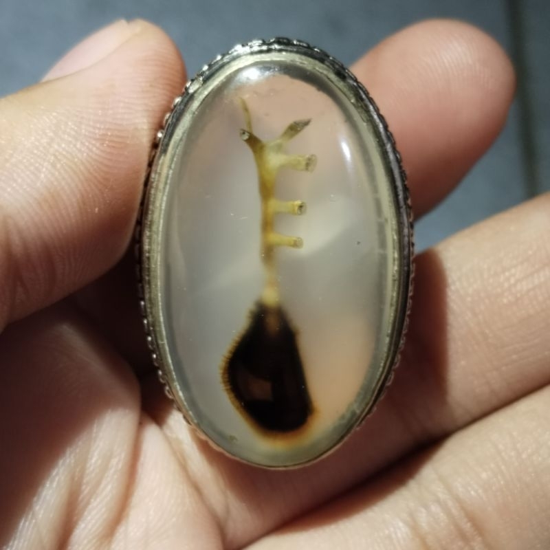 Batu cicin akik anggur 32×18×5mm