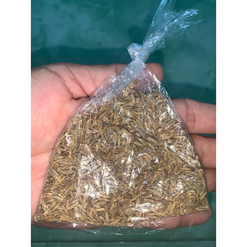 

Jinten rempah rempah masakan