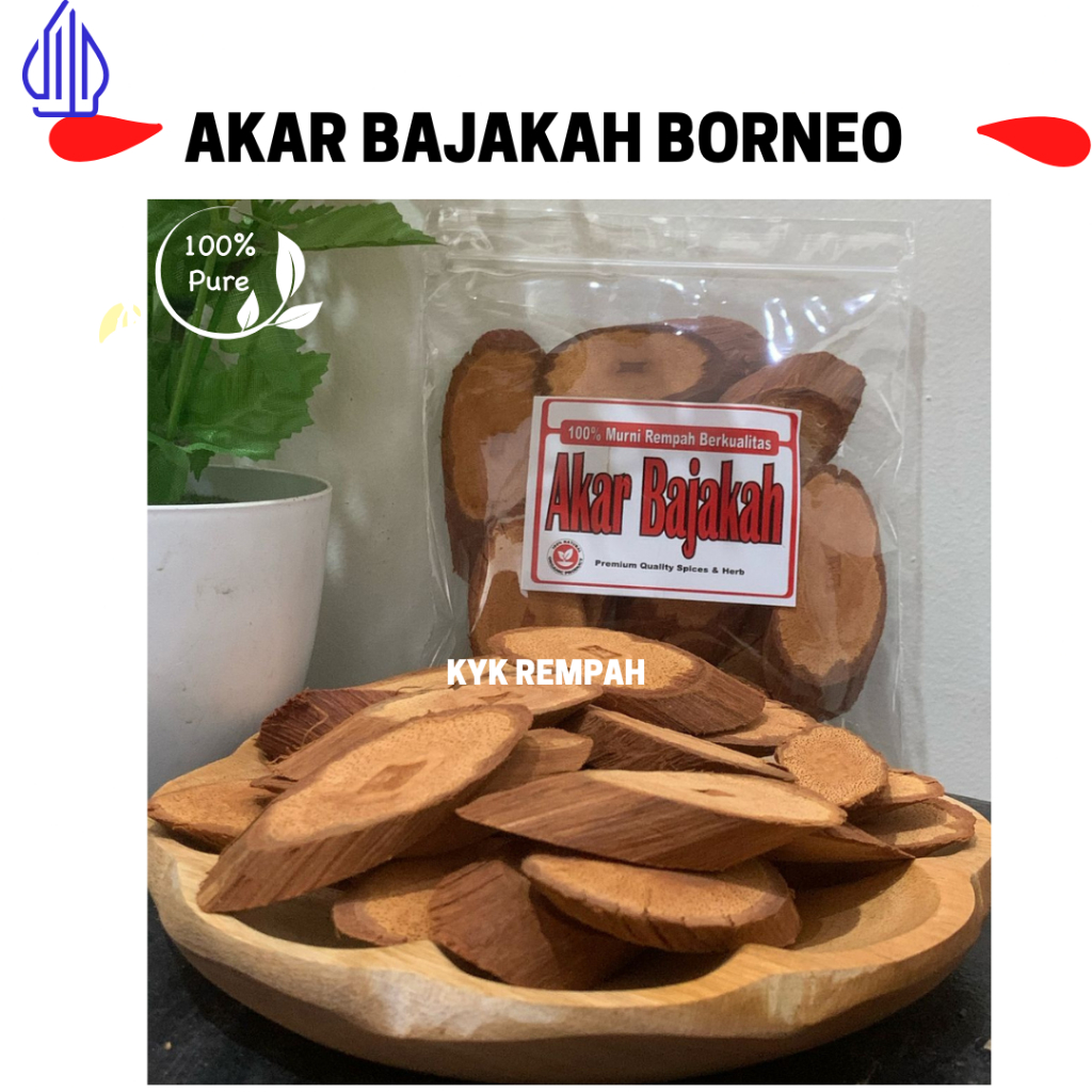 

Akar Bajakah Borneo Merah Asli