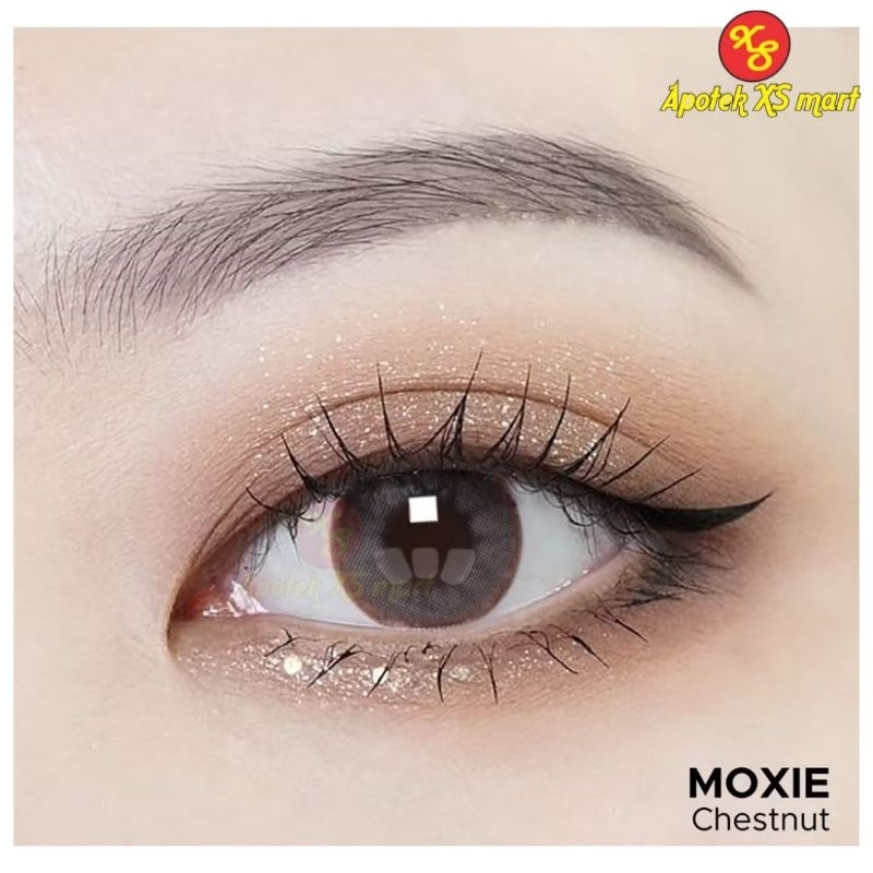 SOFTLENS MOXIE CHESTNUT NORMAL DAN MINUS