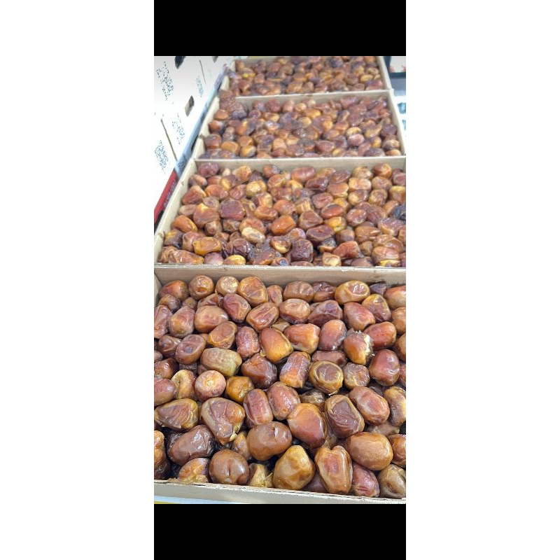 

[KURMA SUKARI] 3kg Panen terbaru