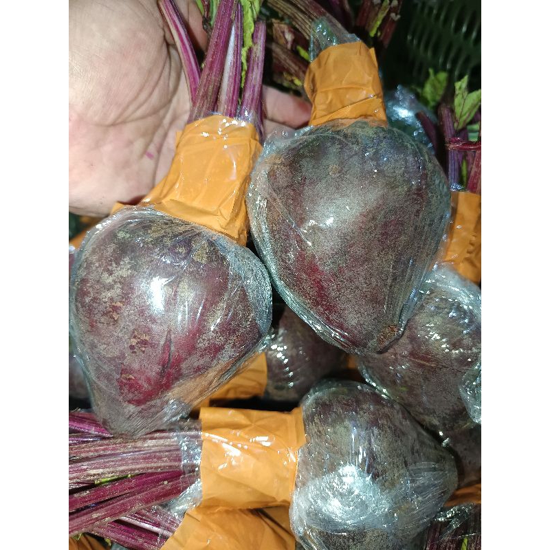 

buah bit beet root 1kg fresh segar kualitas super