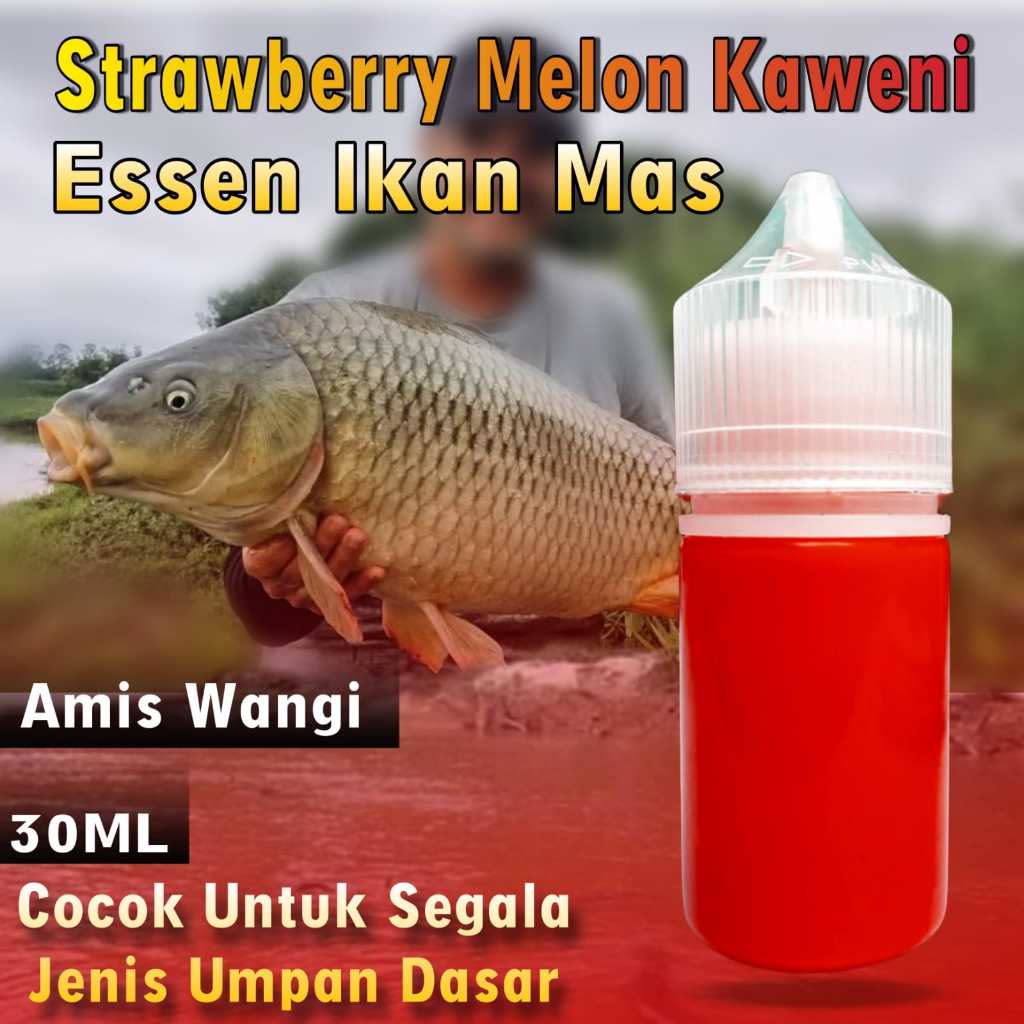 Essen Ikan Mas Babon Rame ,Essen Oplosan Aroma Stoberi  Melon Kweni Essen Khusus Ikan Mas Cepat Stri