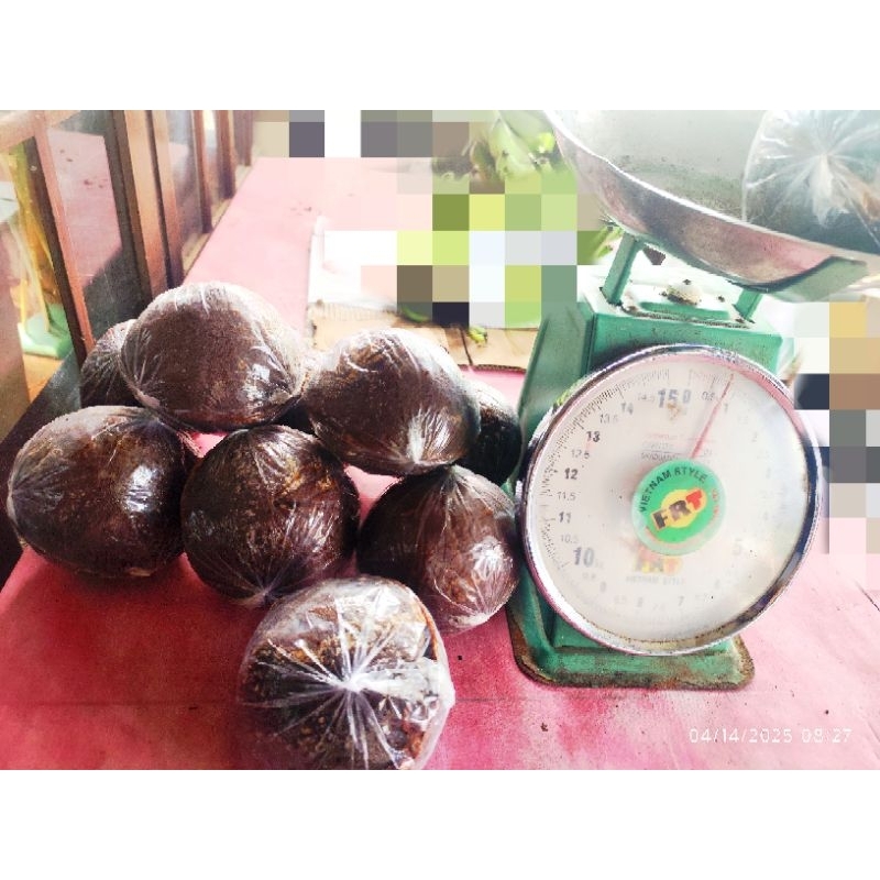 

GULA AREN MANADO / GULA MERAH / GULA BATU MINAHASA TENGGARA Berat 600 - 900 gram