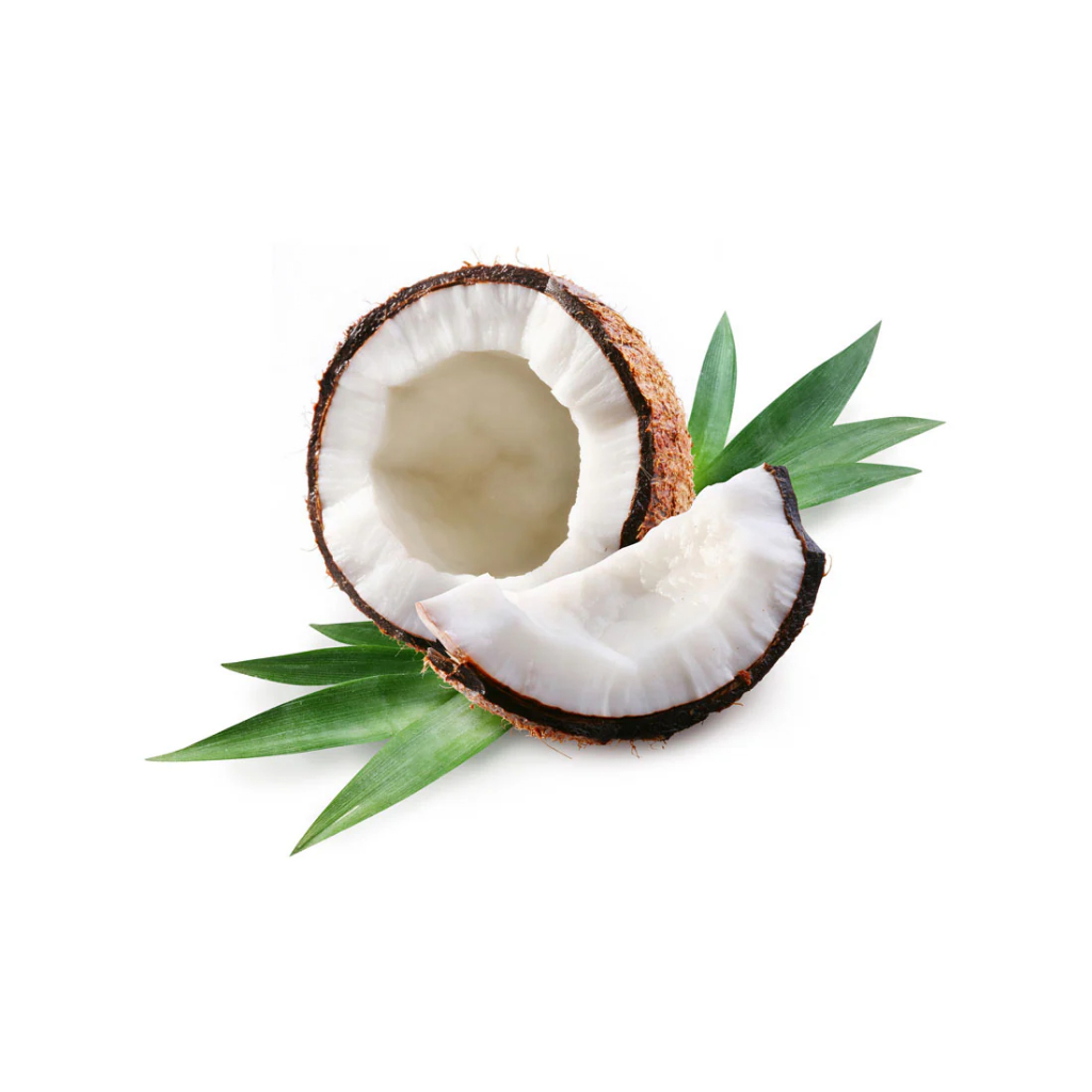 Capella Coconut essence perasa