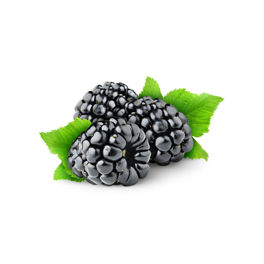 

Capella Blackberry perasa