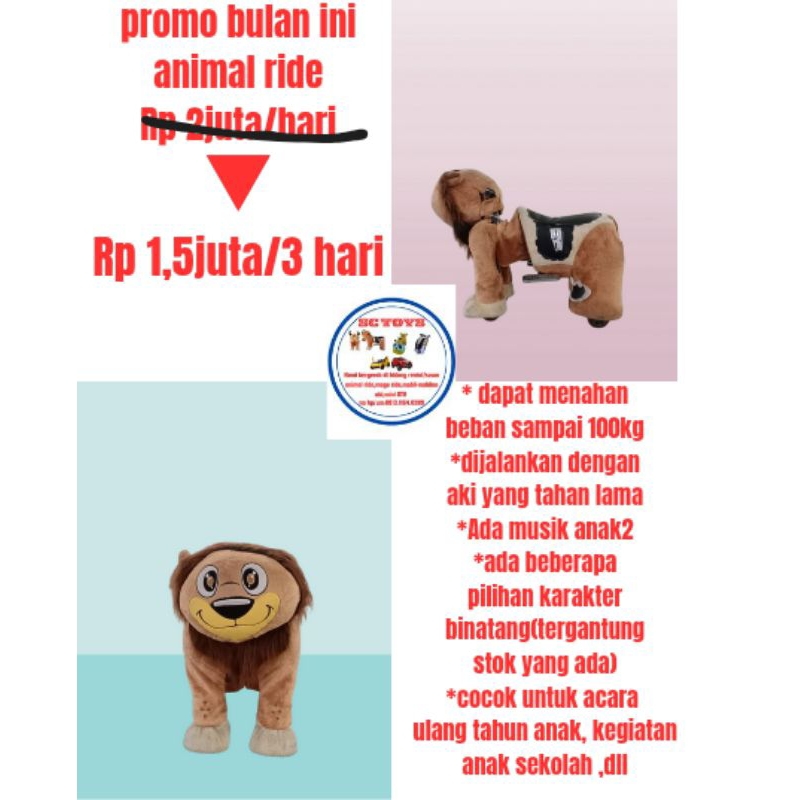 menyewakan/disewakan mainan animal ride#mobil-mobilan aki